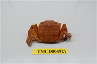 藏品(字紋弓蟹)的圖片